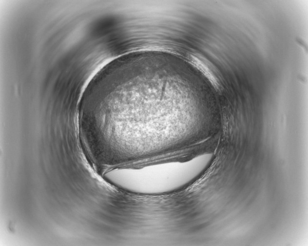 X0000093731092200710301039