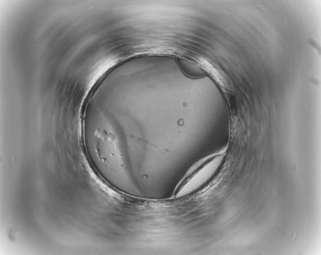 X0000093731095200710301039