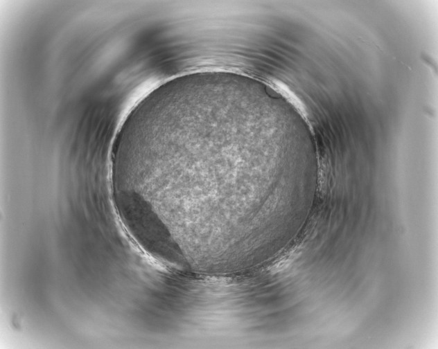 X0000093731096200710301039