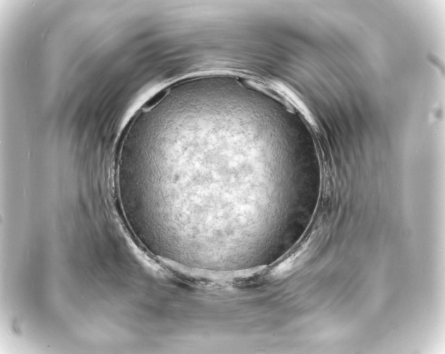X0000093731101200710301039