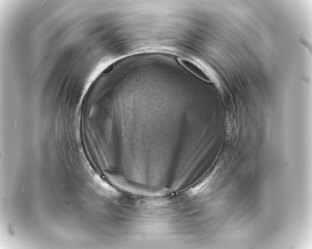 X0000093731102200710301039