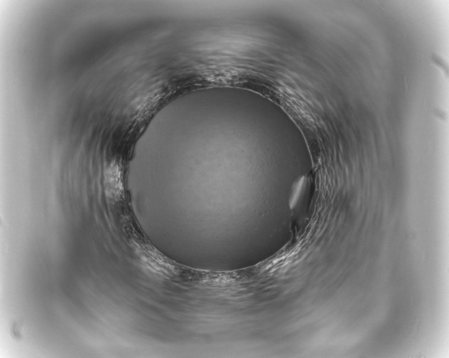 X0000093731106200710301039