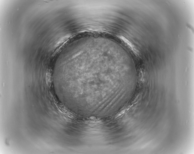X0000093731110200710301039