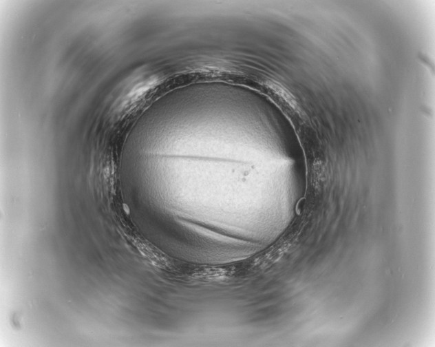X0000093731111200710301039