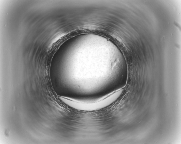 X0000093731112200710301039