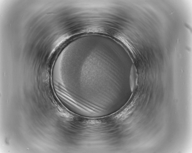 X0000093731115200710301039