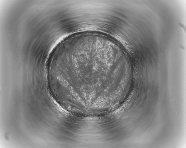 X0000093731118200710301039