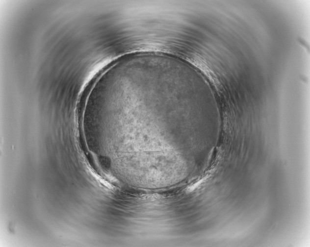 X0000093731120200710301039
