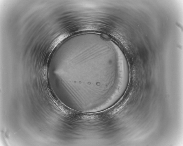 X0000093731121200710301039