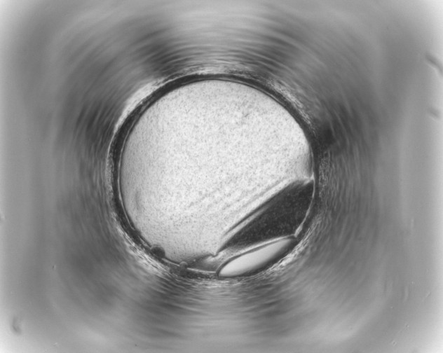 X0000093731122200710301039