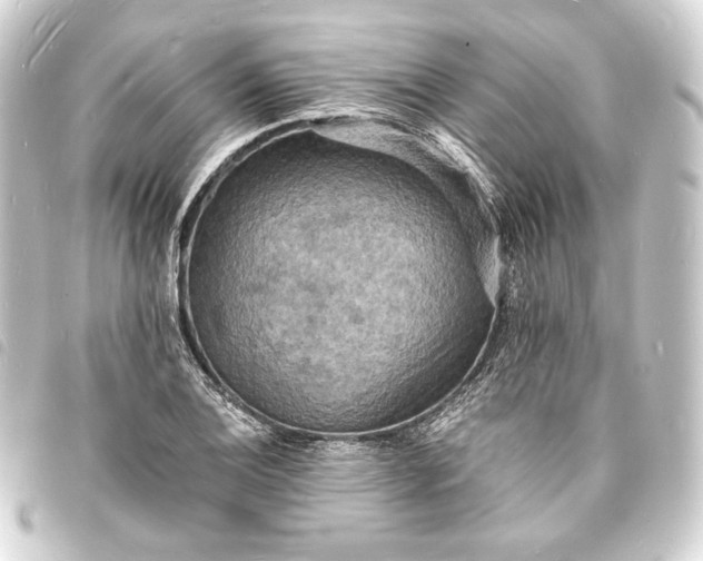 X0000093731124200710301039