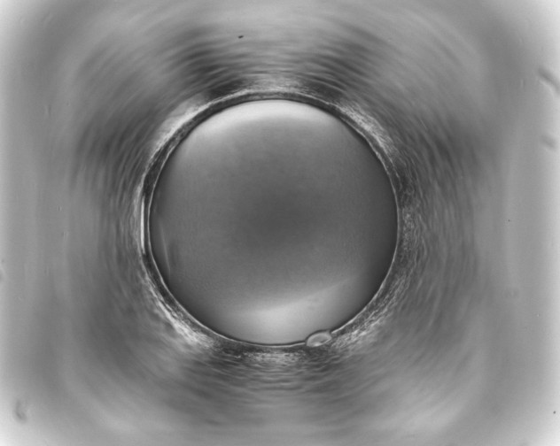 X0000093731127200710301039