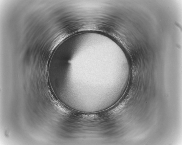 X0000093731129200710301039