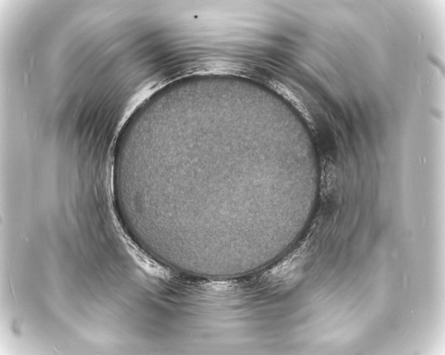 X0000093731130200710301039