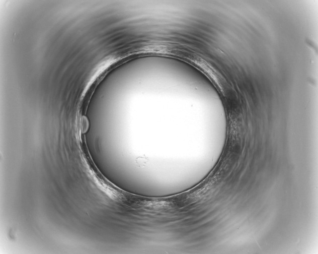 X0000093731131200710301039