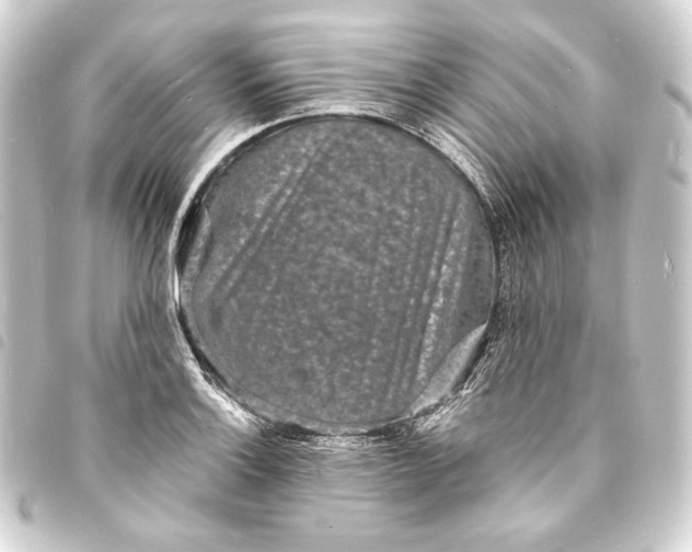 X0000093731132200710301039