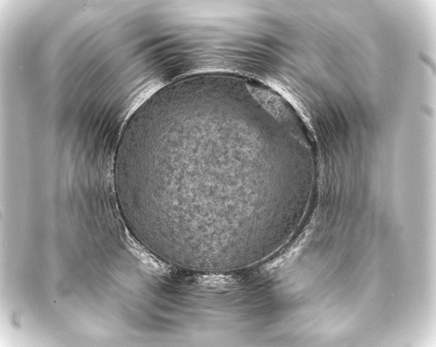 X0000093731137200710301039