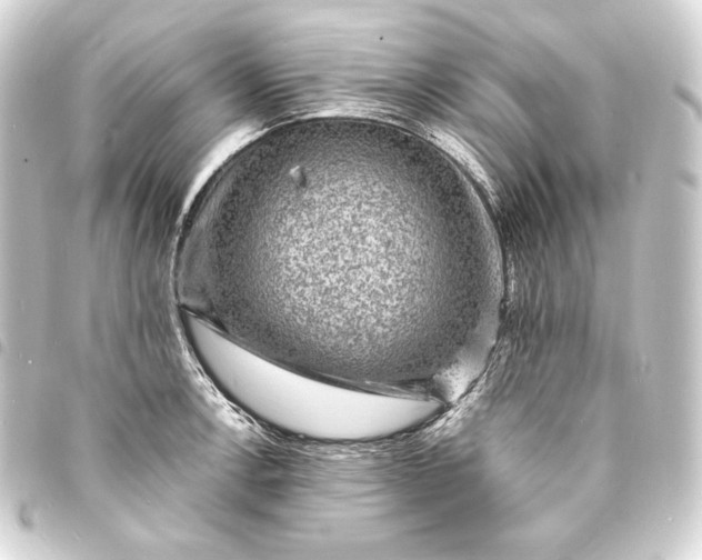 X0000093731138200710301039