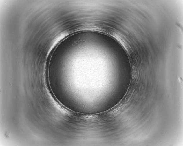 X0000093731139200710301039