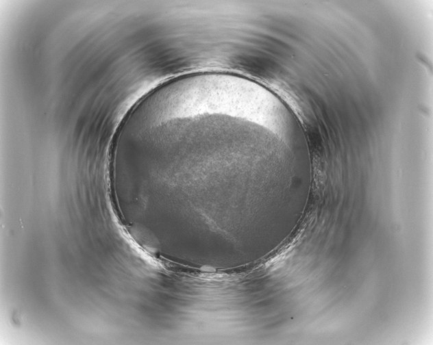 X0000093731142200710301039