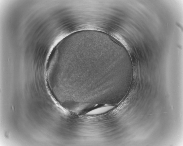 X0000093731144200710301039