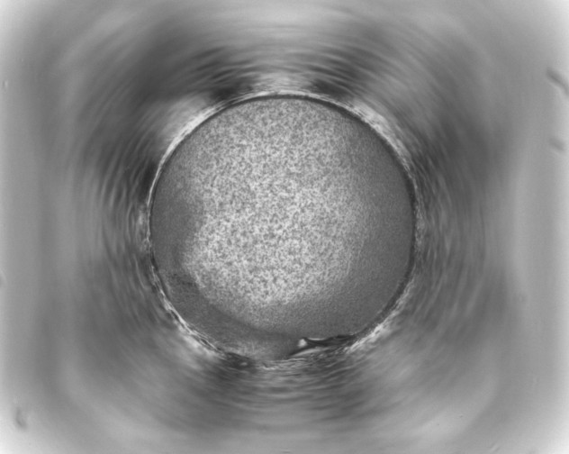 X0000093731145200710301039