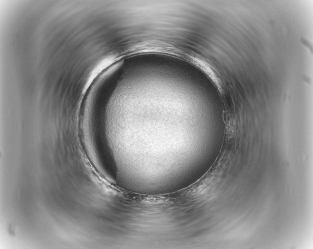 X0000093731146200710301039