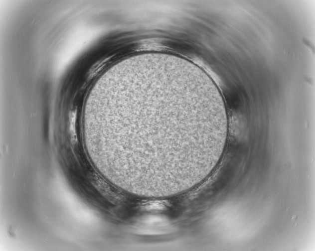 X0000093731150200710301039