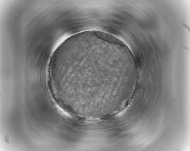 X0000093731151200710301039