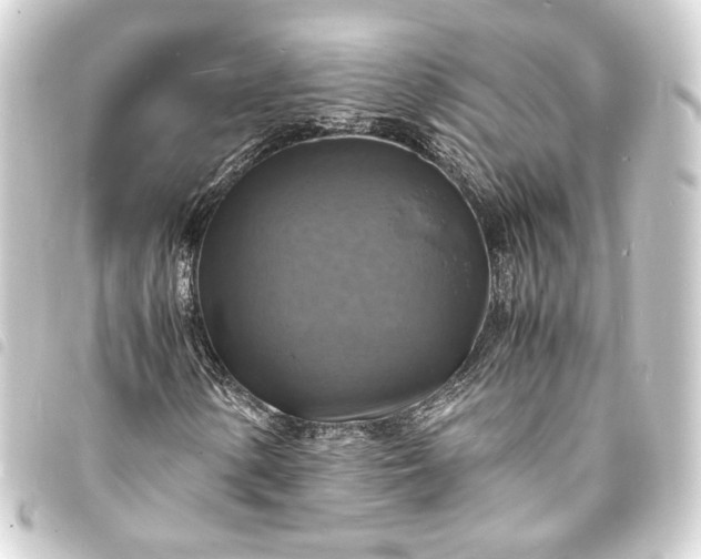 X0000093731154200710301038