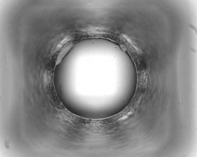 X0000093731157200710301038