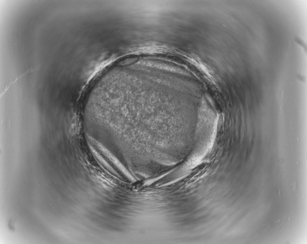 X0000093731160200710301038
