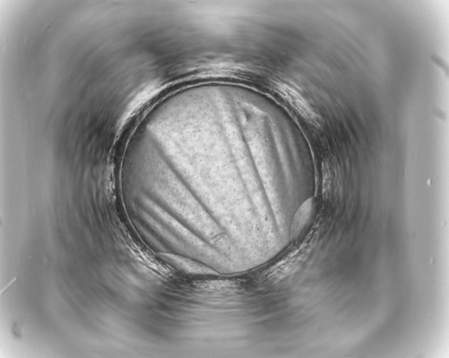X0000093731164200710301038