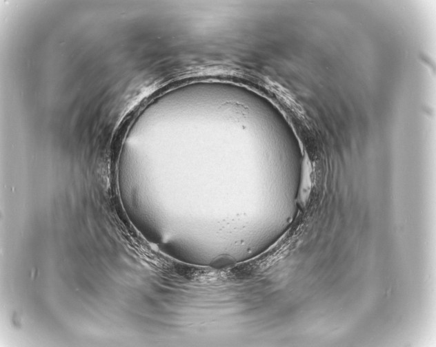 X0000093731165200710301038