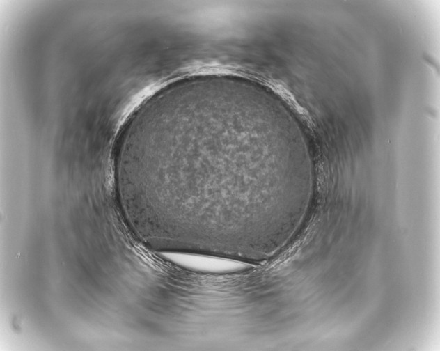 X0000093731167200710301038