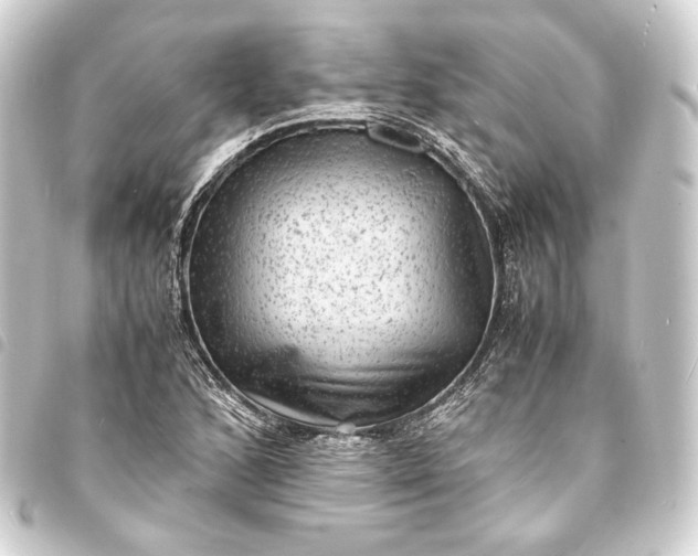 X0000093731168200710301038