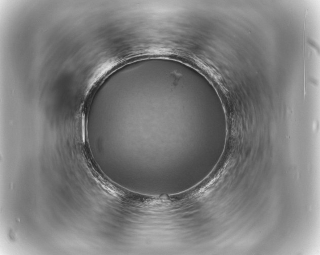 X0000093731171200710301038