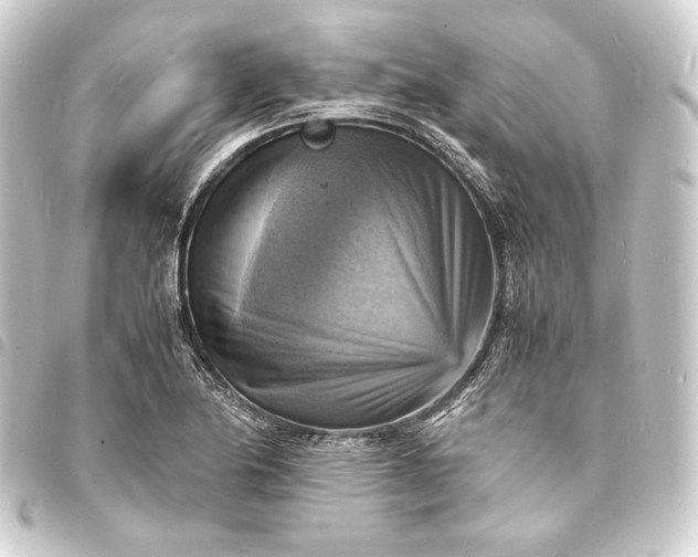X0000093731174200710301038