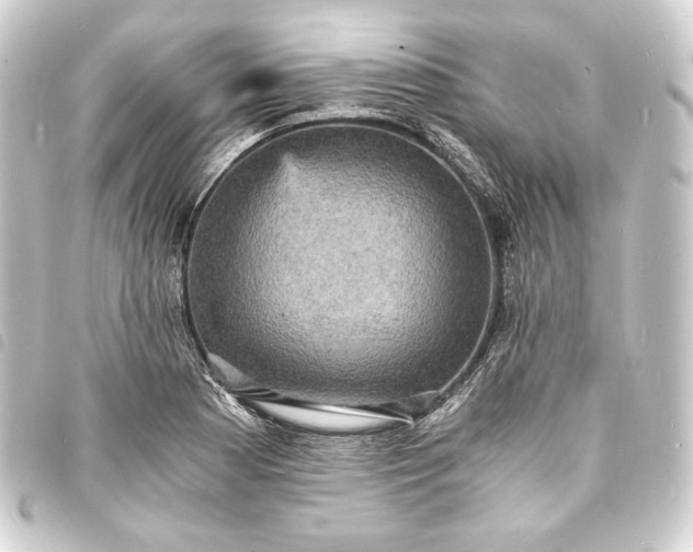 X0000093731177200710301038