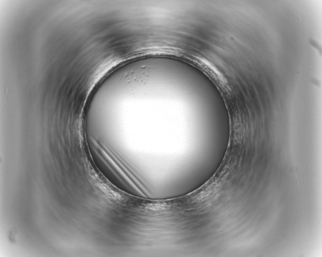 X0000093731182200710301038