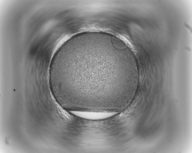 X0000093731183200710301038