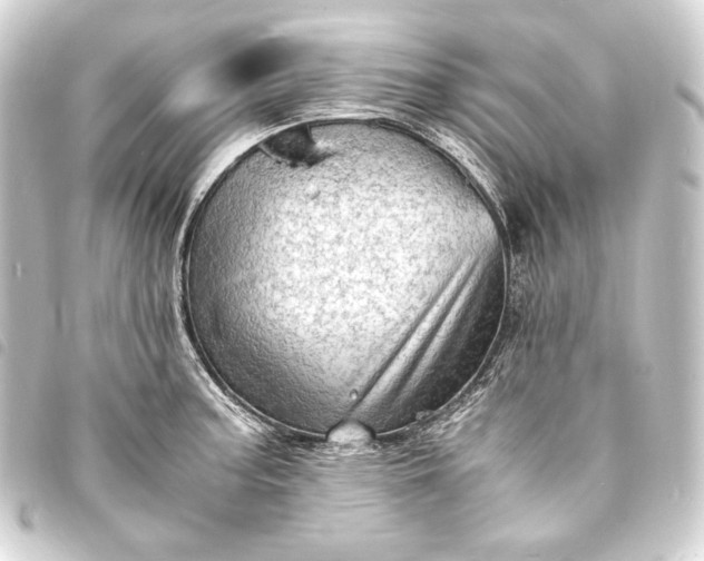 X0000093731187200710301038