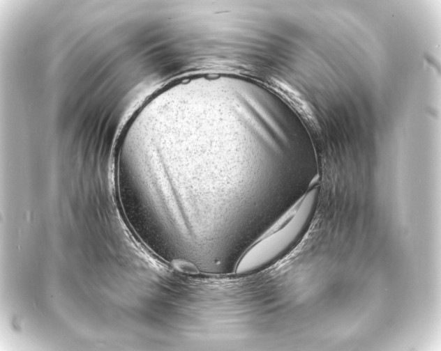 X0000093731188200710301038