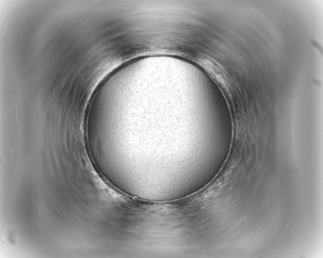 X0000093731189200710301038