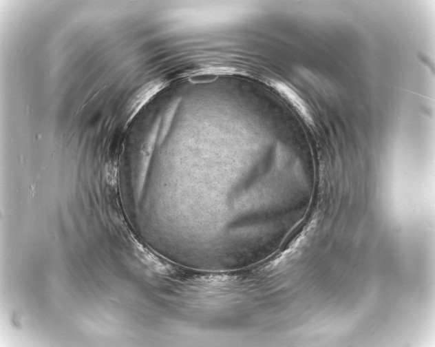 X0000093731193200710301038