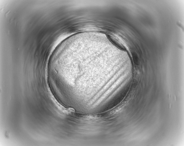 X0000093731195200710301038