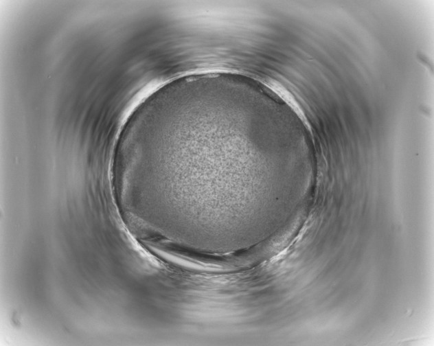 X0000093731197200710301038