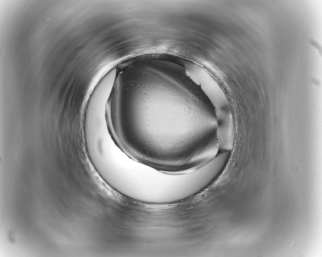 X0000093731200200710301038