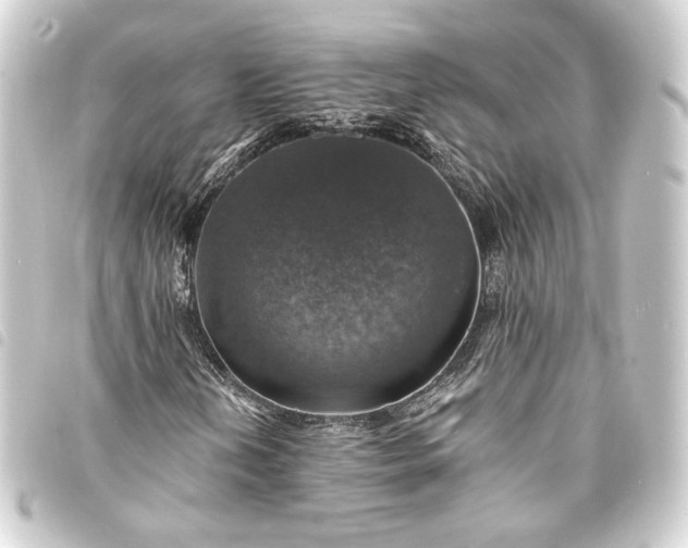 X0000093731202200710301037
