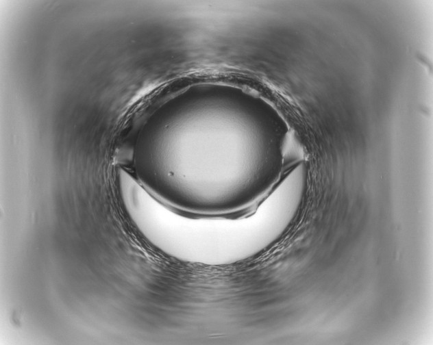 X0000093731206200710301037